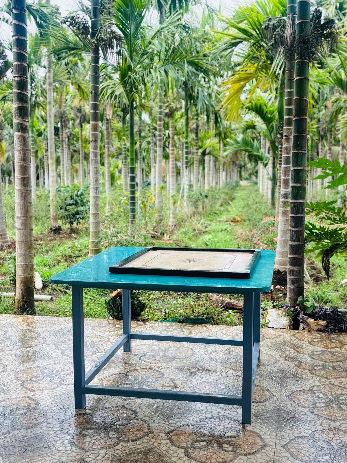 New Nature @999 Chikamagaluru Best Stay