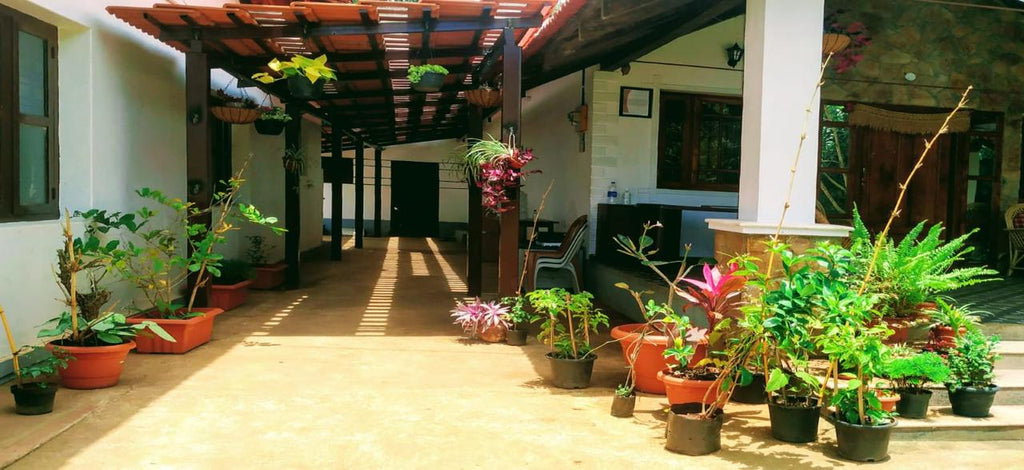 Still Water Homestay @Chikamagaluru
