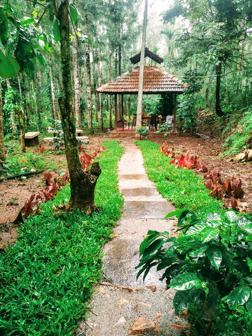 Still Water Homestay @Chikamagaluru
