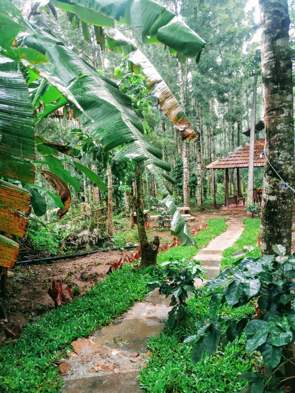 Still Water Homestay @Chikamagaluru