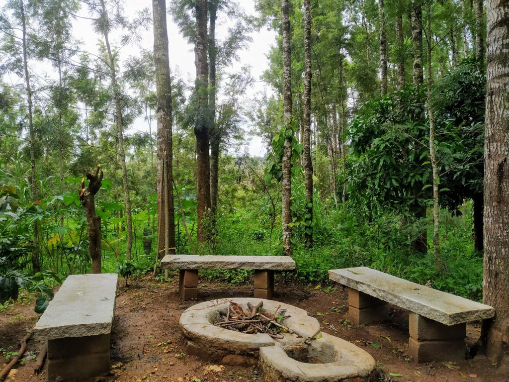 Still Water Homestay @Chikamagaluru
