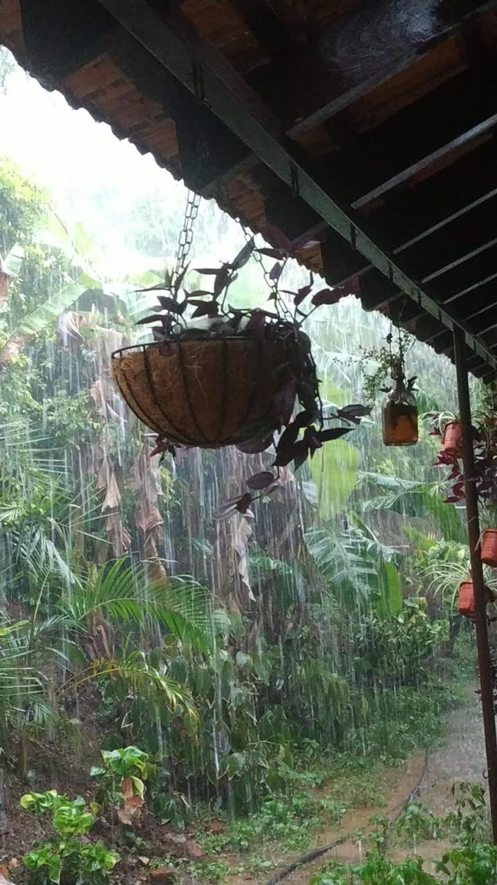 Still Water Homestay @Chikamagaluru