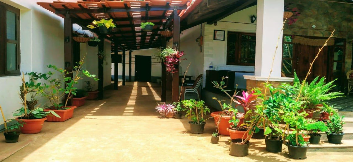 Still Water Homestay @Chikamagaluru