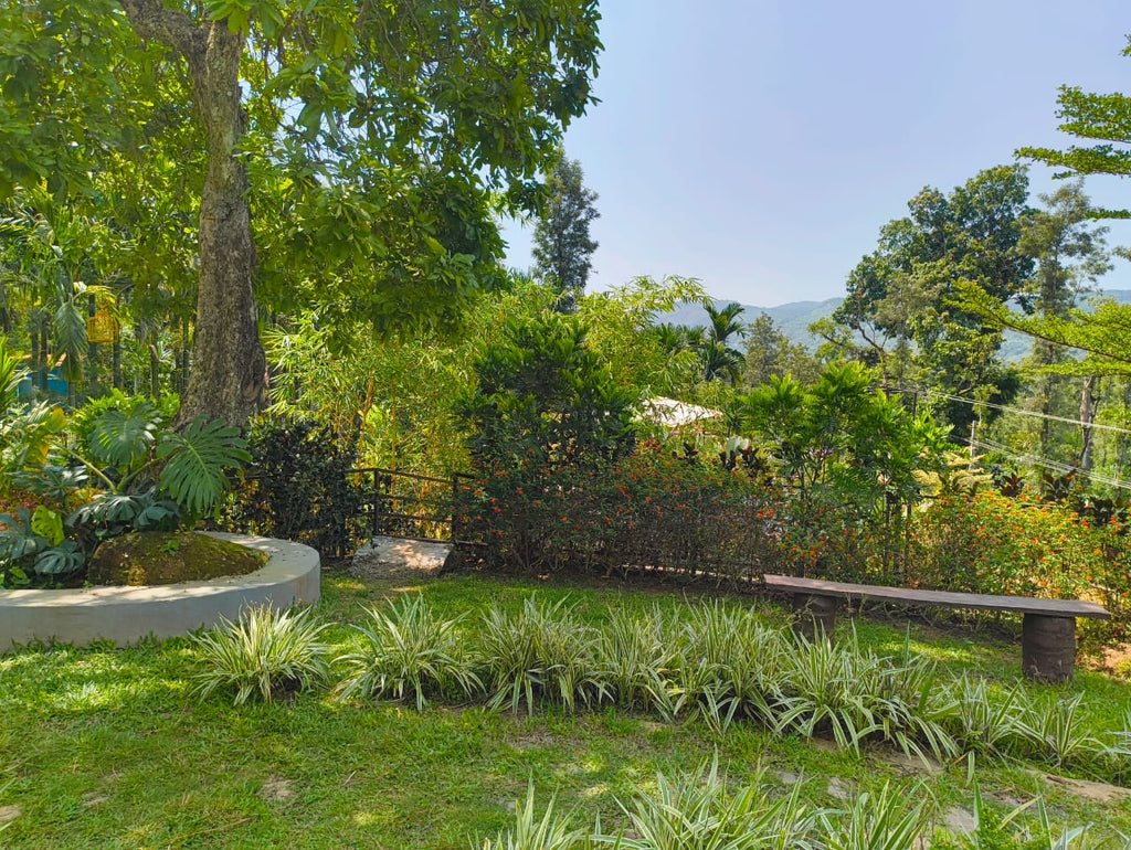 Acre 5 Homestay @Chikkamagaluru