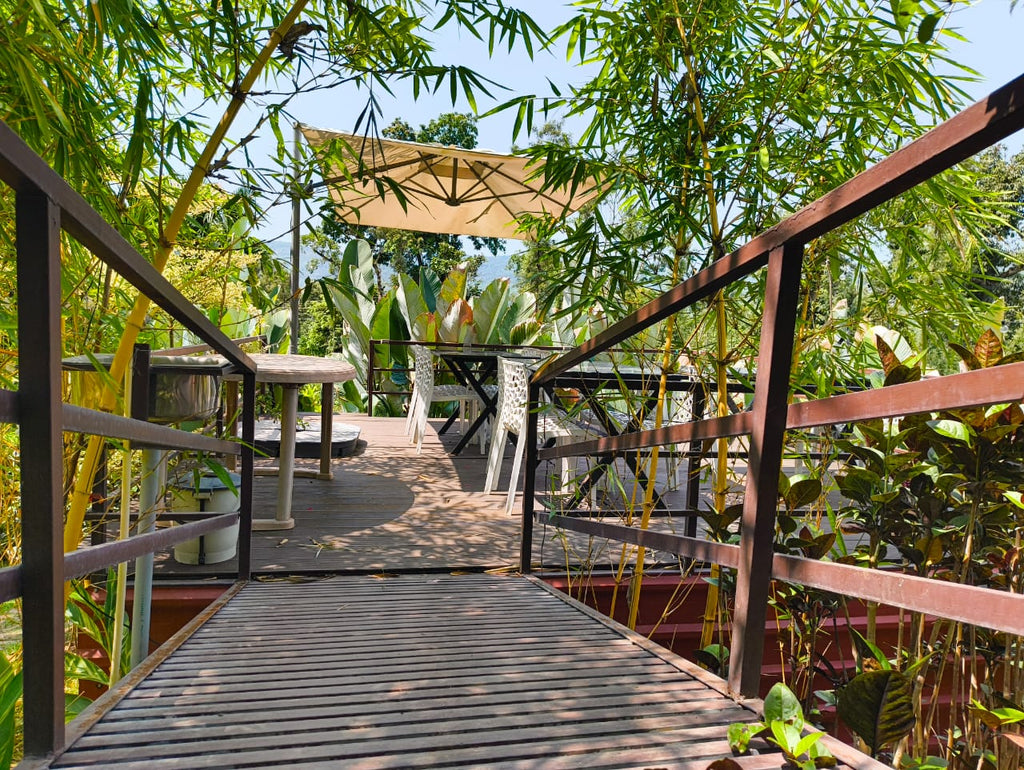 Acre 5 Homestay @Chikkamagaluru